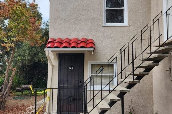 Black Pearl Painting's other services