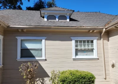 Professional home painting services